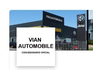 logo de Vian Automobile FIAT VN