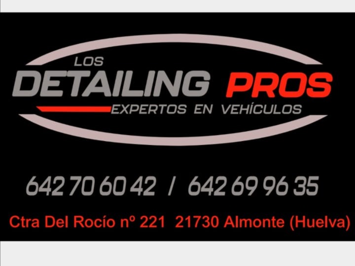 logo de DetailingPros Expertos en vehículos