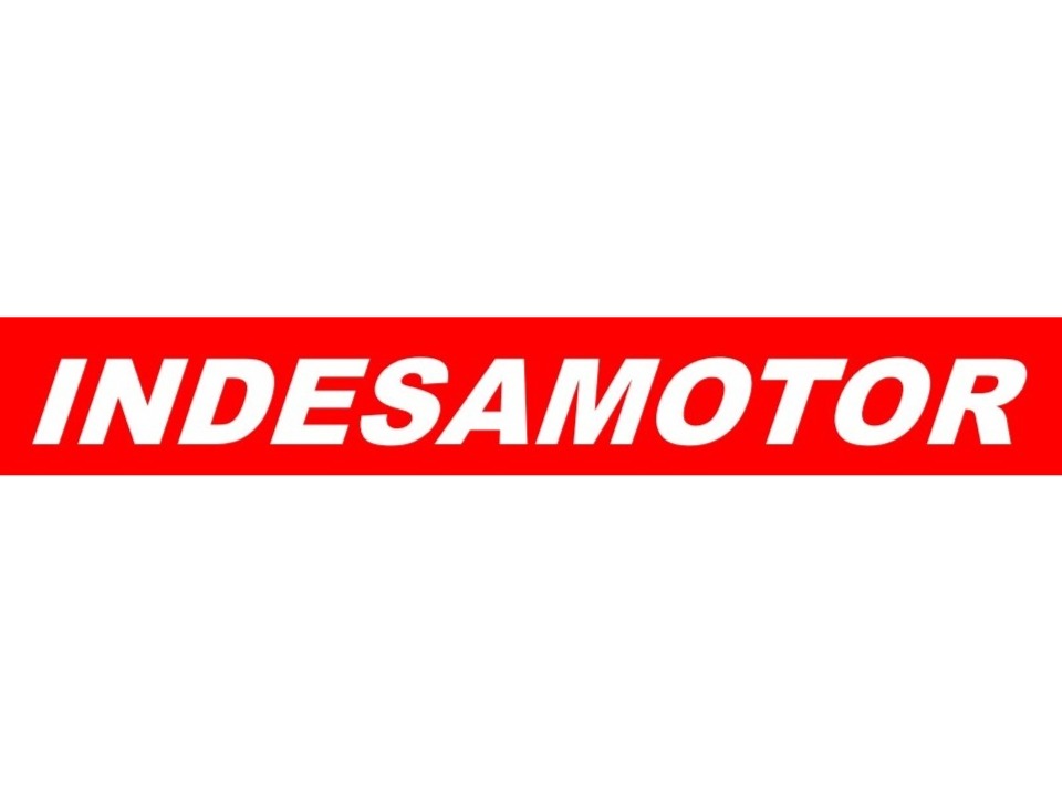 logo de INDESAMOTOR