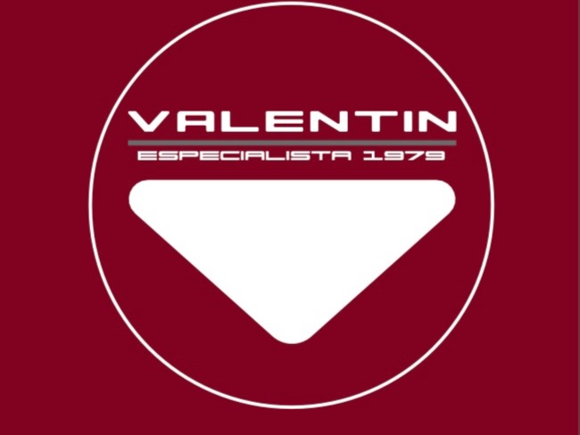 logo de Valentin Motors