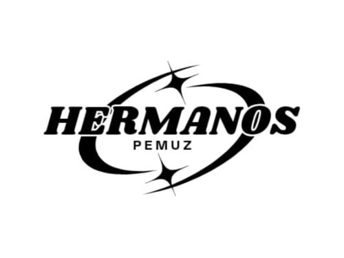 logo de Hnos Pemuz