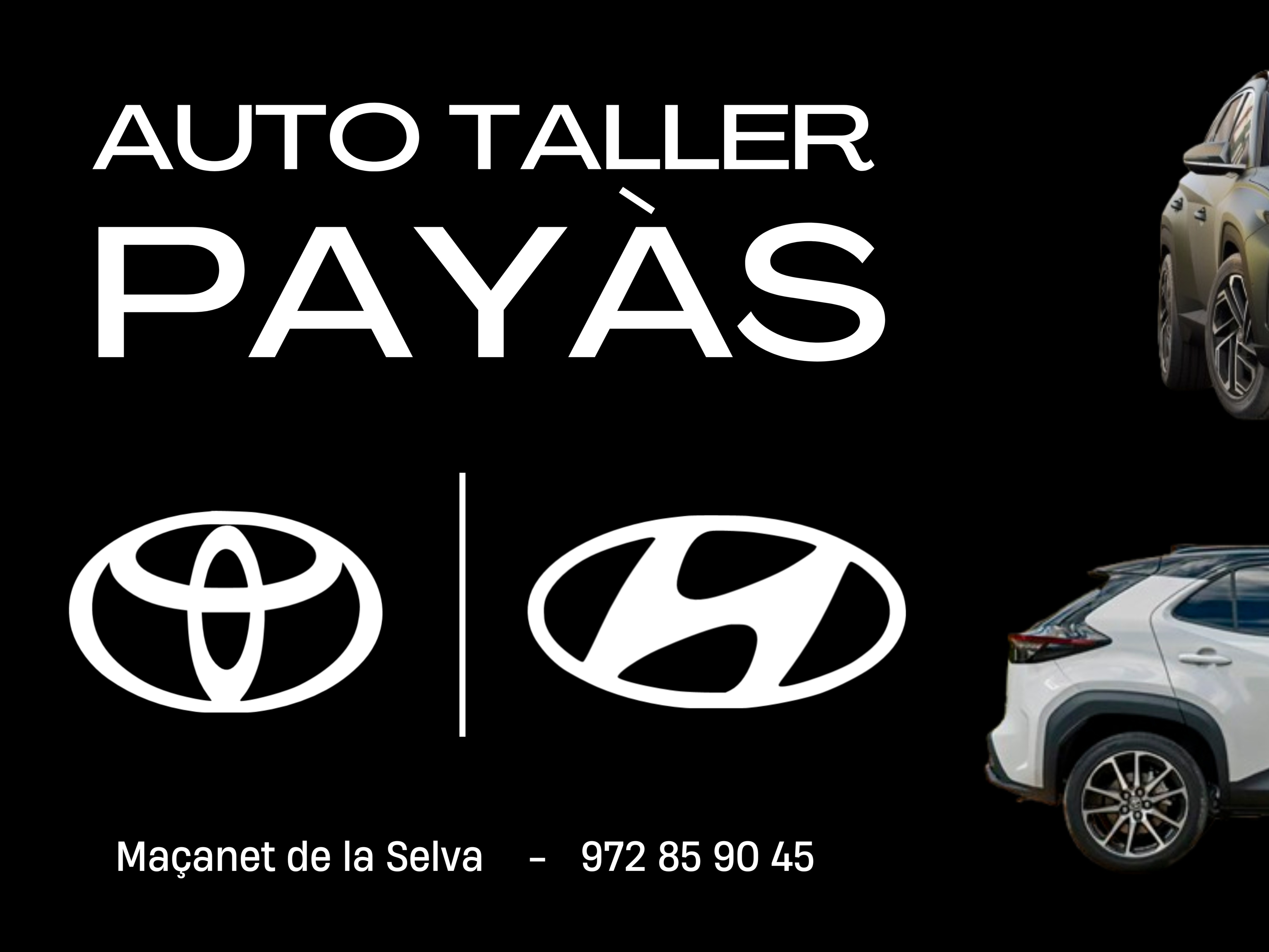 logo de Auto Taller Payàs Sl